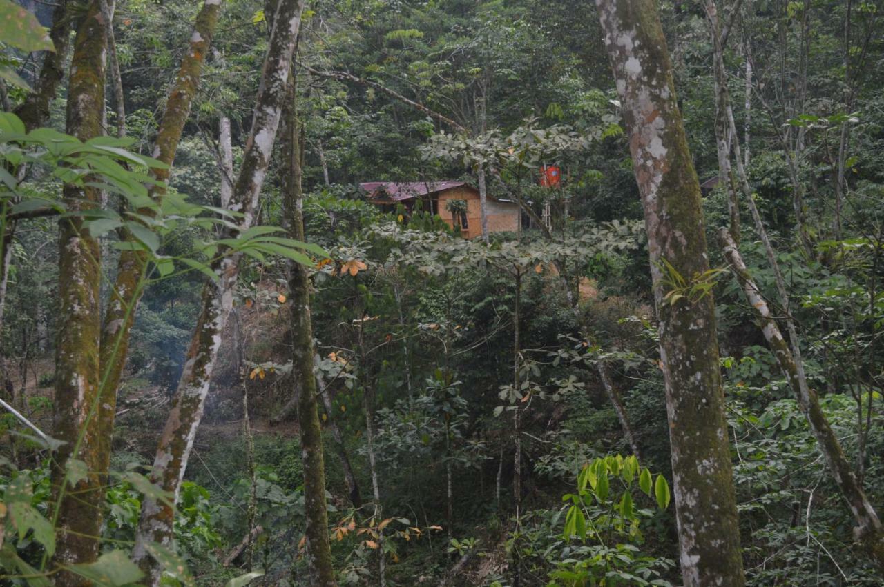 Landak River Guest House Only Trekking With Us 武吉拉旺 外观 照片