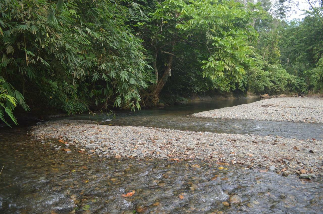 Landak River Guest House Only Trekking With Us 武吉拉旺 外观 照片