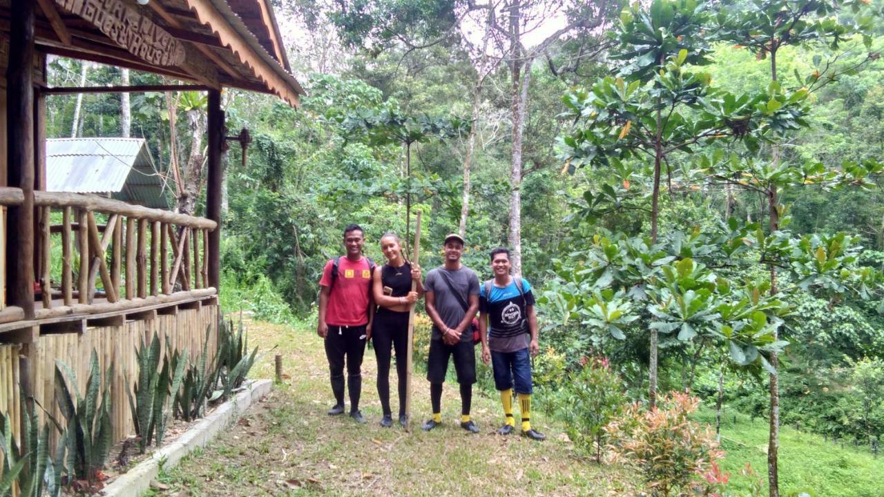 Landak River Guest House Only Trekking With Us 武吉拉旺 外观 照片
