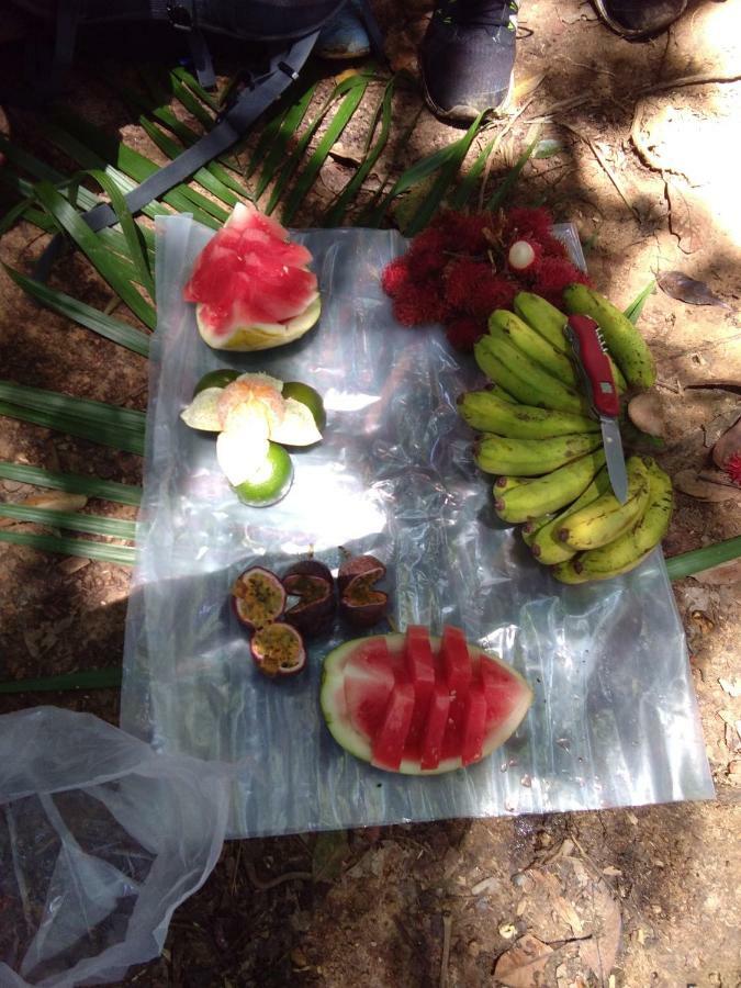 Landak River Guest House Only Trekking With Us 武吉拉旺 外观 照片
